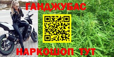 гидра Новозыбков