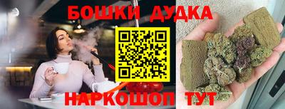 гидра Новозыбков