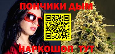 гидра Новозыбков
