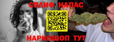 гидра Новозыбков