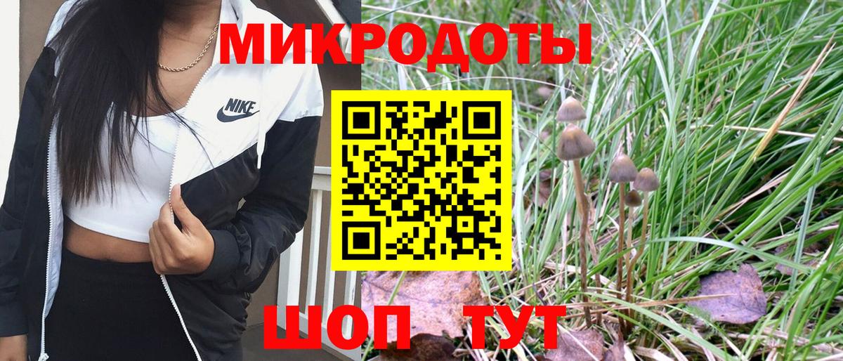 Псилоцибиновые грибы Cubensis Северобайкальск