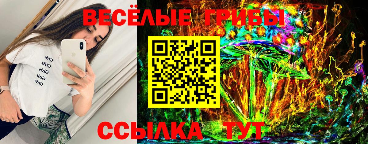 Галлюциногенные грибы Cubensis  Вход с VPN  Северобайкальск  наркошоп  Псилоцибиновые грибы MAGIC MUSHROOMS 